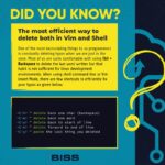 The most efficient way to delete both in Vim and Shell
