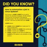 How to automatize a job in Linux System?