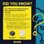 Key differences between Black Box Testing and White Box Testing