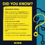 chmod in linux