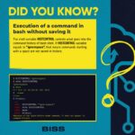 Execution of a command in bash without saving it